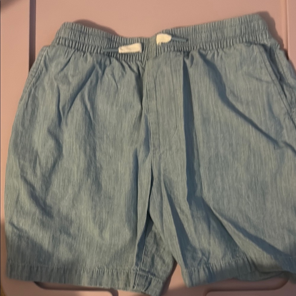 Vineyard Vines Kids Blue Shorts